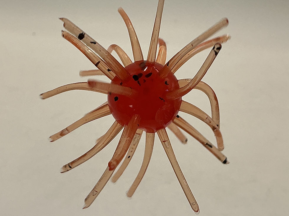 Thumbnail: The Thing