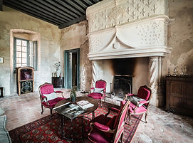 salon du chateau de meauce