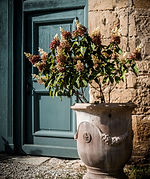 porte du chateau