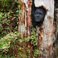 sculpture trail.jpg