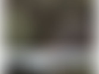 Our carbon footprint