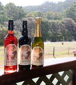 Hidden River Estate Wines