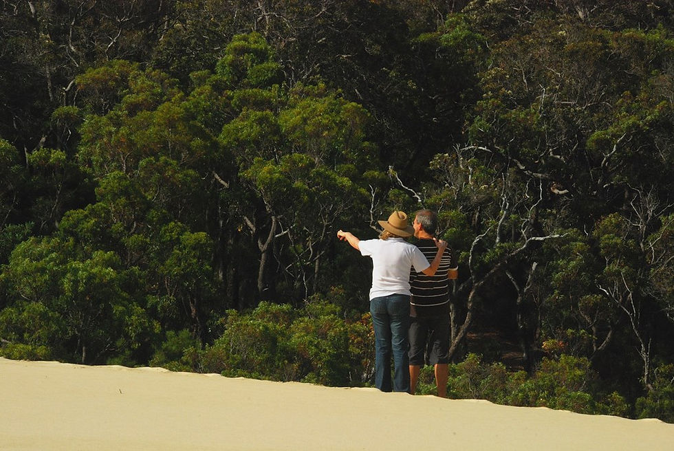 Dunes interface