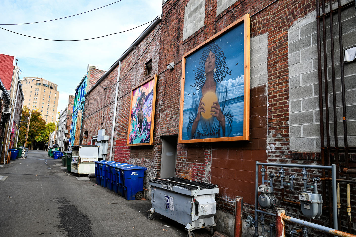 Paper Whale mural fest winner Miles Toland's art in Sunset Alley.