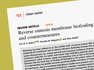 Reverse osmosis membrane biofouling: causes, consequences and countermeasures
