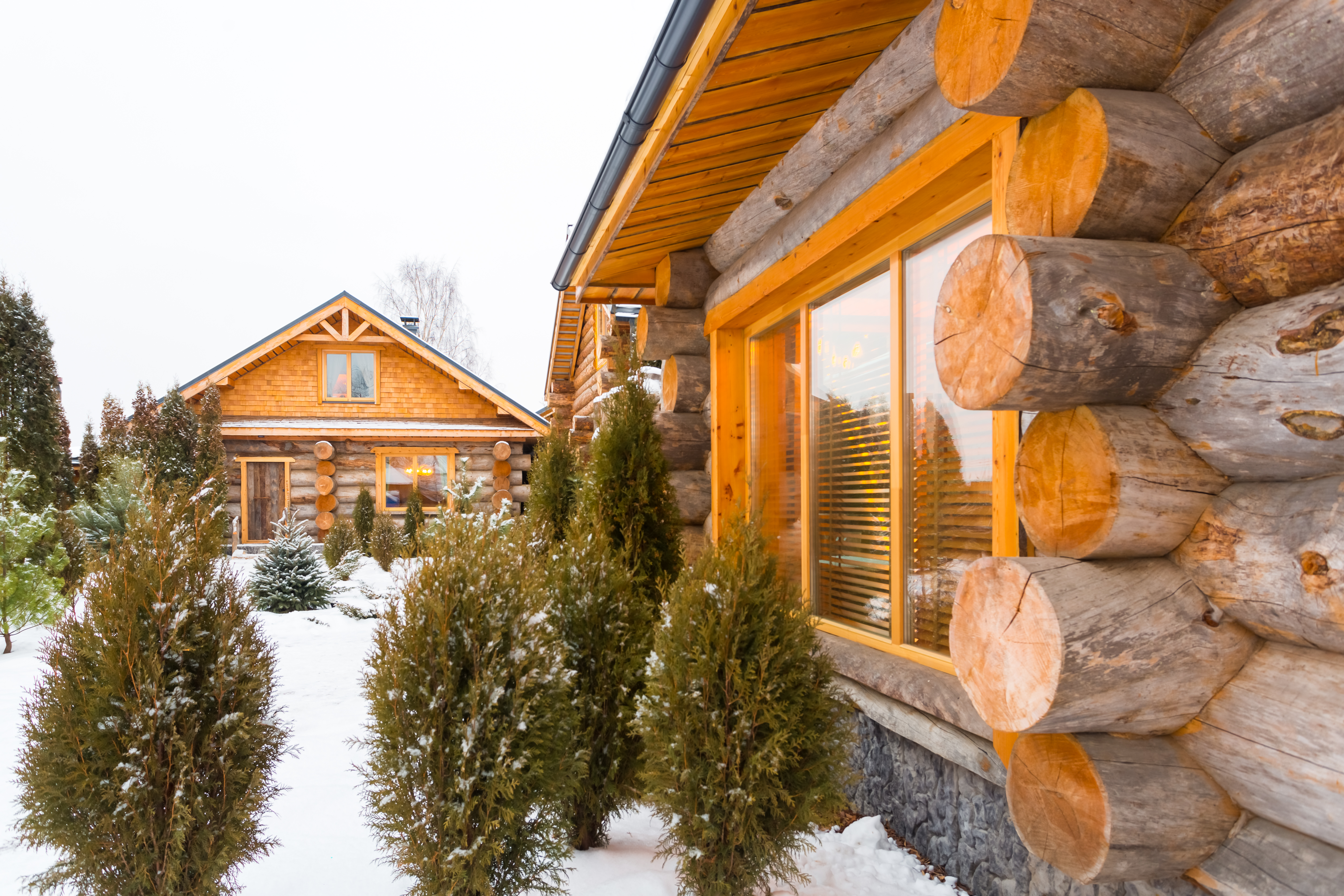 кело сосна. кело сосна. баня из карельской сосны кело. сухарник кело. кело сосна.