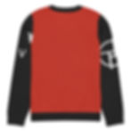 PERSPEKTIV* ™️ Knitted Crew Neck Sweater