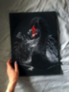 image1.jpeg