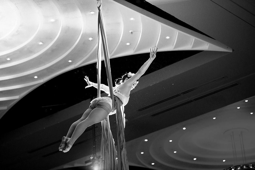 Circus and Aerial Rigging