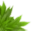 580b585b2edbce24c47b26c8.png