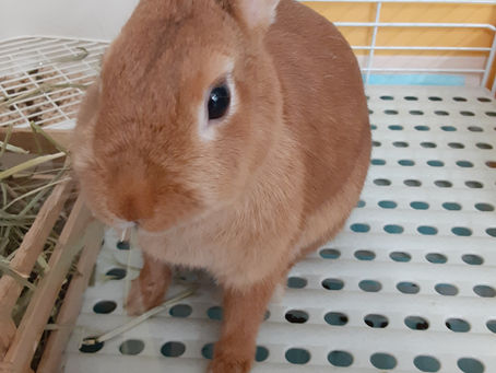 夏休みの予約受付中