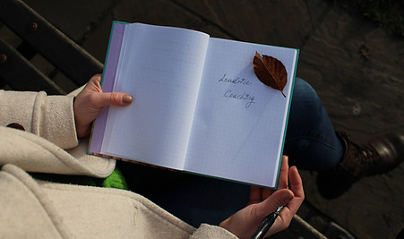 Leadrise Journal