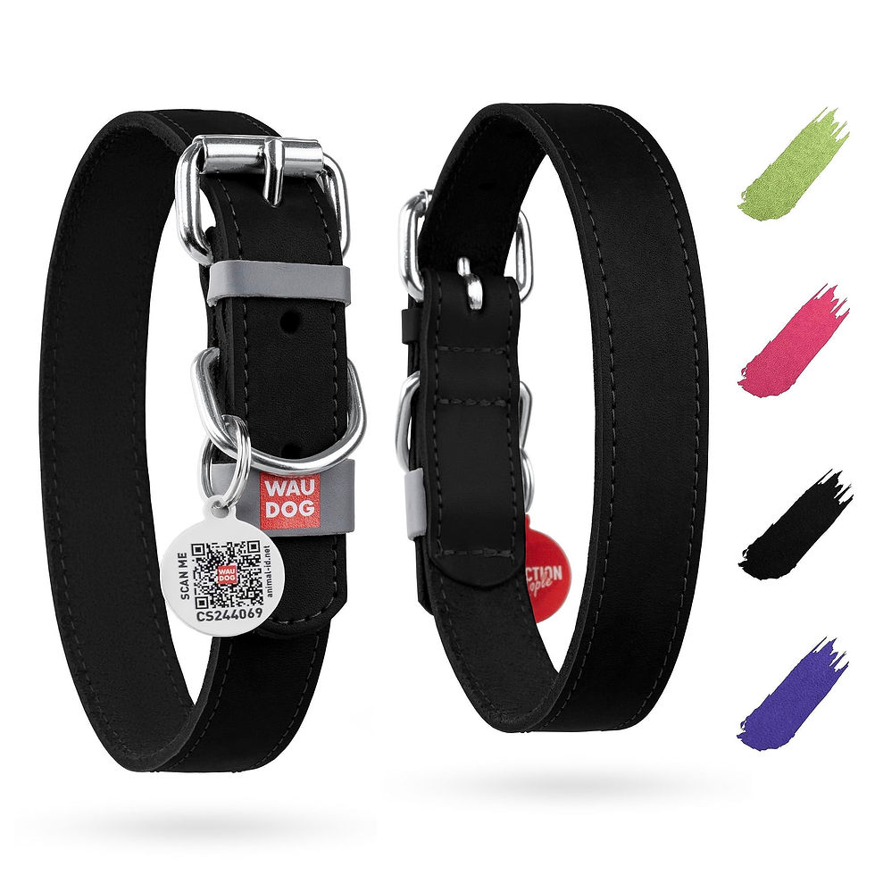 Miniatura: Black Long Lasting Leather Dog Collar Adjustable for Medium Dogs 1215 inch Neck