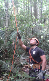 Vertical_Forest