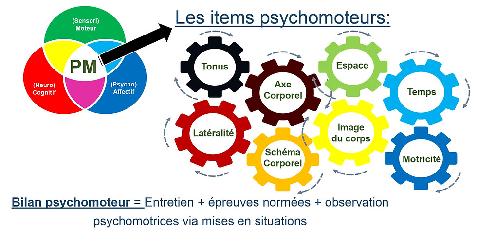 Explication des bases théoriques de la psychomotricité à la croisées des sphères sensorimotrice, neurocognitif et psycho affective et amenant les items psychomoteurs, qui font l'objet du bilan psychomoteur