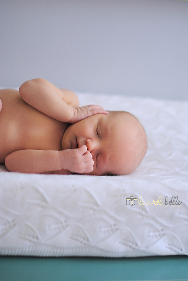 dilworth charlotte at home newborn photographer