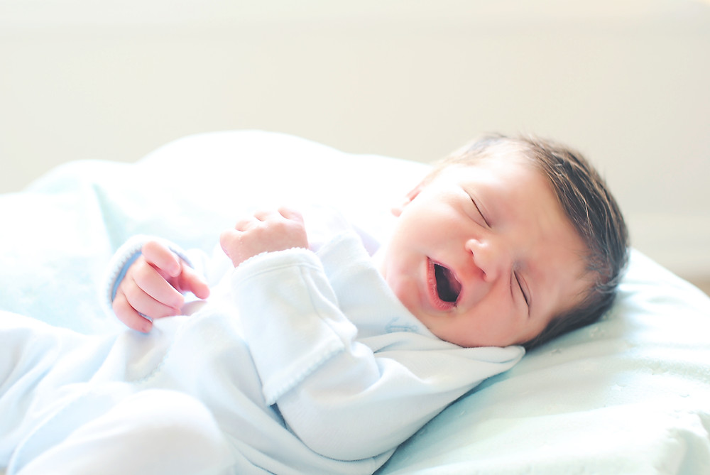 charlotte lifestyle newborn photographer