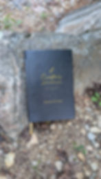 A Creative's Journal on rocks