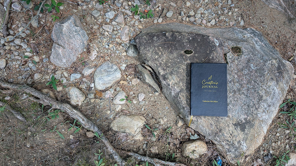 A Creative's Journal on a large rock, showing its leather texture