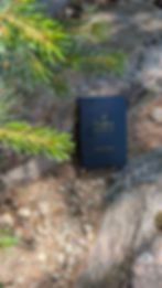 A Creative's Journal close-up on rocks