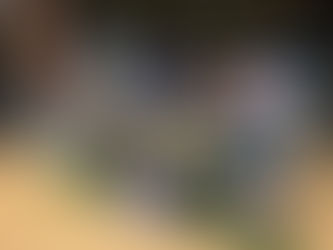 The vessel is the hardest thing