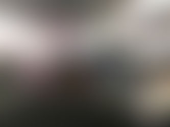 No grenades, but you can bring make-up guns and antlers