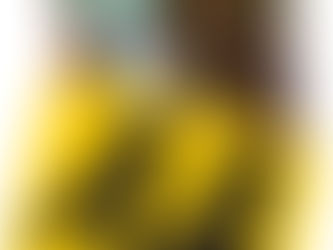 The AA Christmas Parties