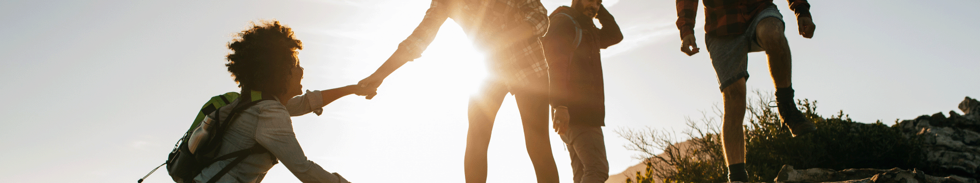 allosframside (2).png