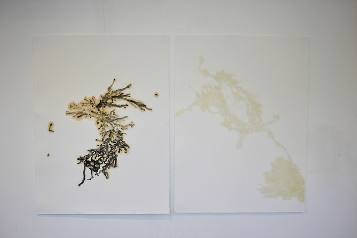 oil on somerset
black : white
50 x 70 cm each