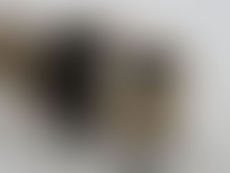 Sheep Wool for Horticulture