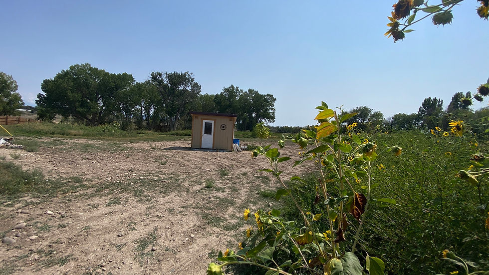 beezen huts