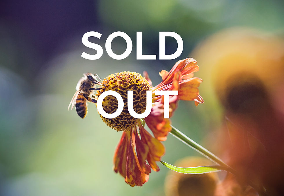 Bee Medicine Private Retreat