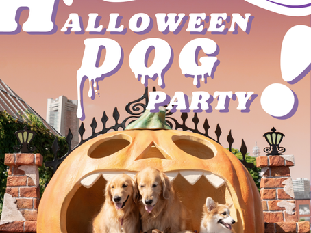 『HALLOWEEN DOG PARTY!2025』 に出店いたします