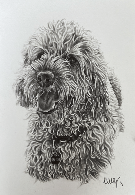 Pencil drawing of a smiling dog with collar, FINE ART on white background.