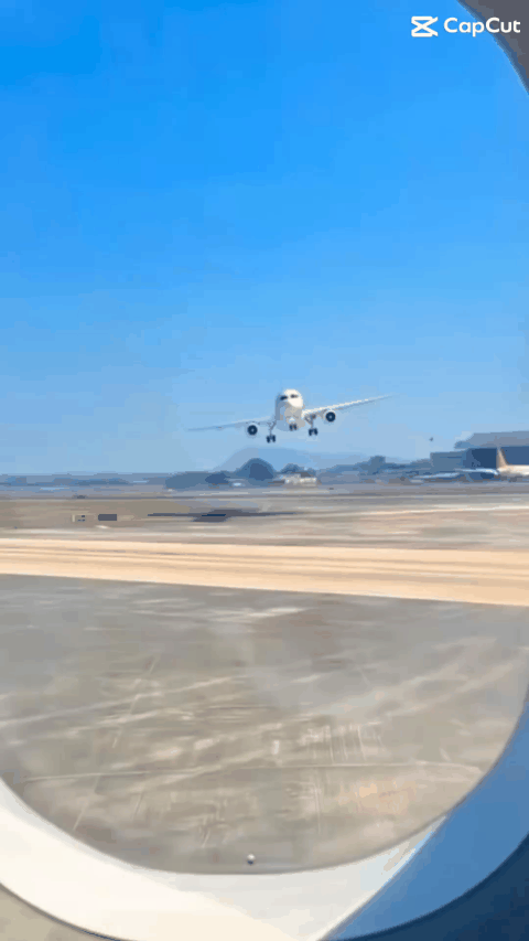 thank_you_animation.gif