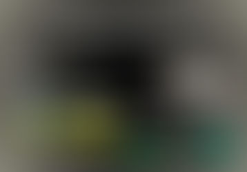 10. Römerhof Angus Day, Sonntag, 06. Juli 2025