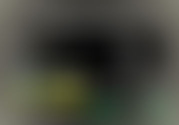 9. Römerhof Angus Day, Sonntag, 07. Juli 2024