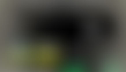 9. Römerhof Angus Day, Sonntag, 07. Juli 2024