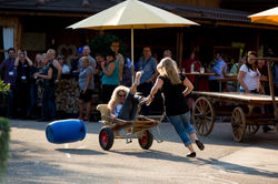 betriebsausflug auf dem römerhof