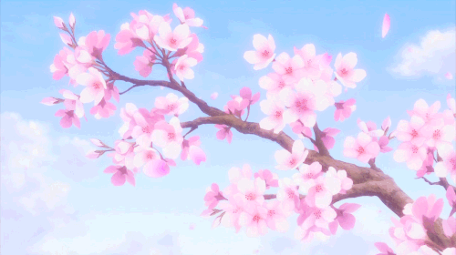 tumblr_nnk5m6gvIj1u5wsqho1_500.gif