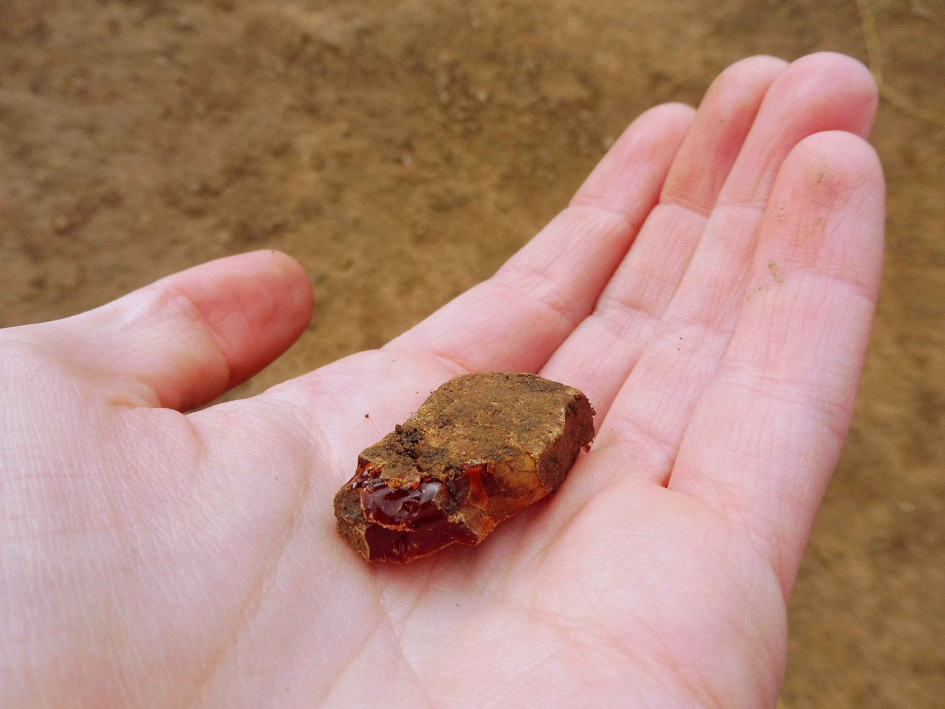 Fragment surového jantaru