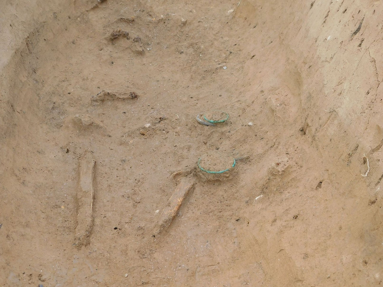 Detail náramků v oblasti levé paže nebožtíka z doby laténské (foto L. Hájek, 20.6.2022)