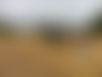 Poznámky a dojmy z konference Otázky neolitu a eneolitu Čech, Moravy a Slovenska