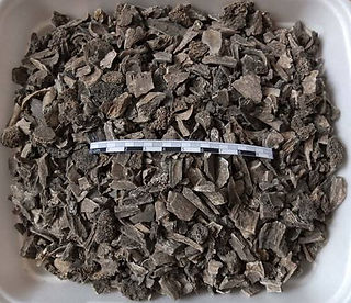 Kosterní materiál ze žárového hrobu