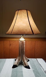IMG_7303.JPG