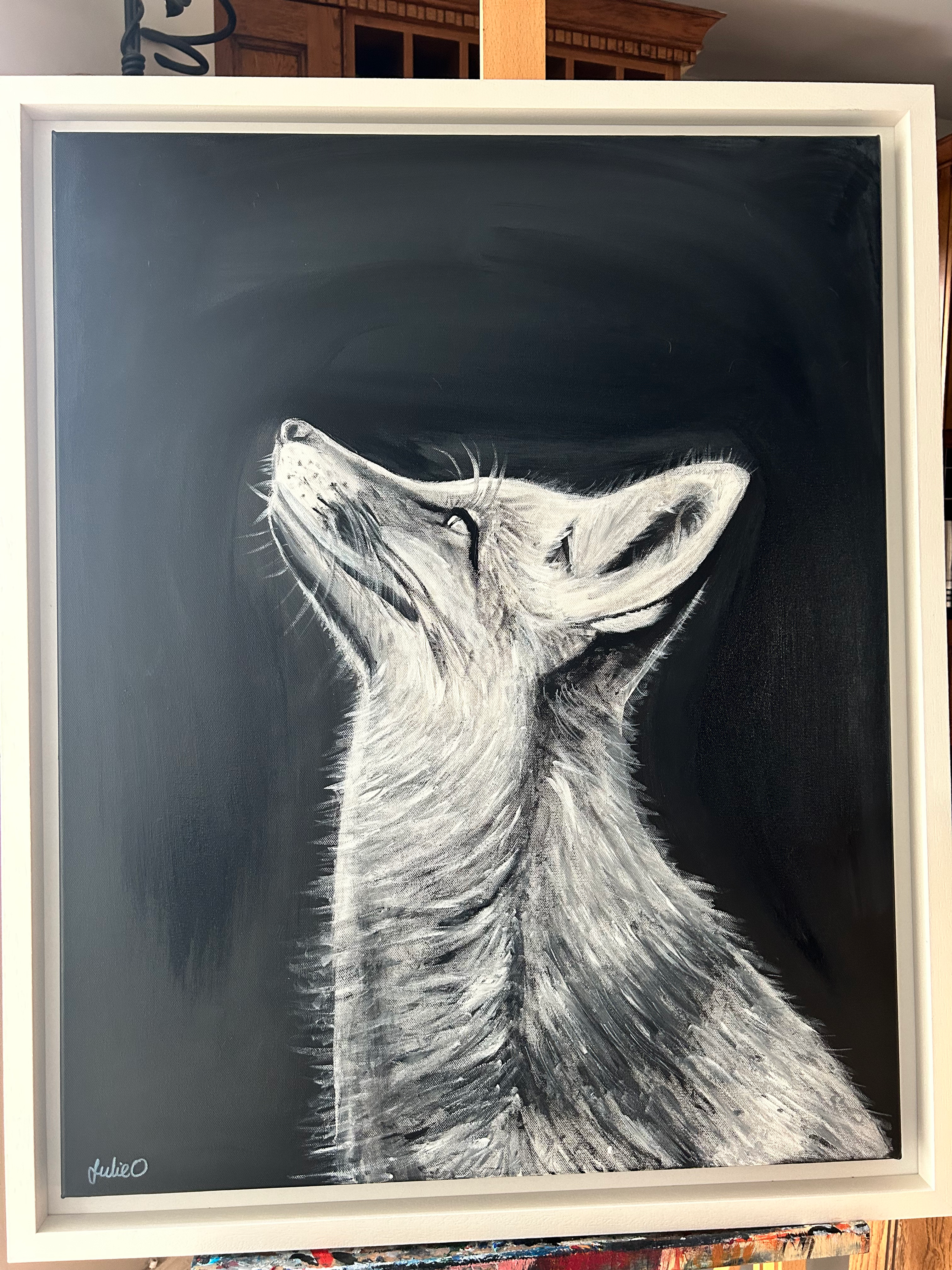 Fox