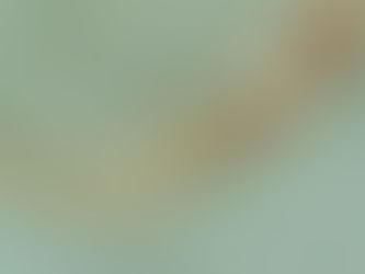 La decisión que me regaló semanas de paz mental.