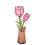 サムネイル： TW082 Pink Tulip