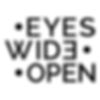 FREE ENTRY / The Eyes Wide Open - First Photo Book Grant 