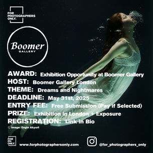 The Boomer Gallery - Dreams & Nightmares: 6th Edition
